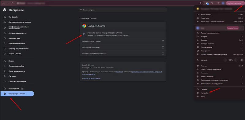 Версия браузера Google Chrome